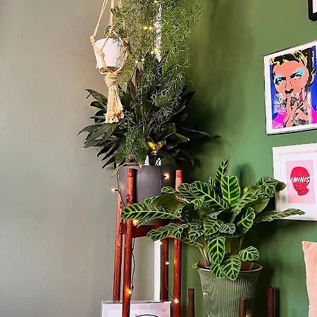 Apartment Oasis Hideaway Midst Center *