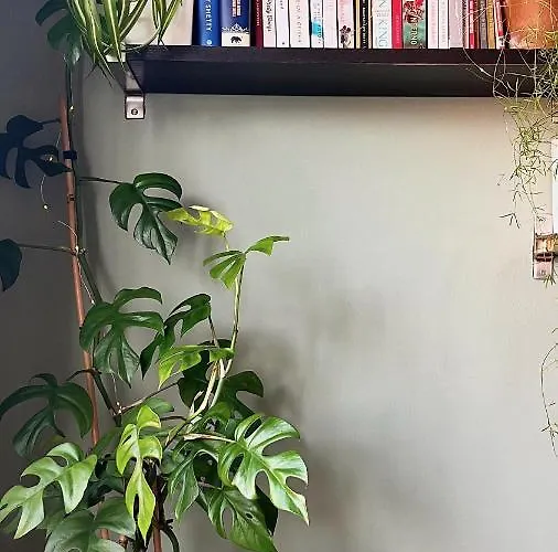 아파트 Oasis Hideaway Midst Center *