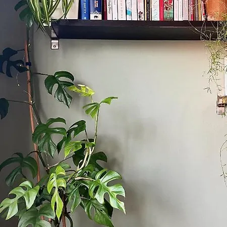 דירה Oasis Hideaway Midst Center *